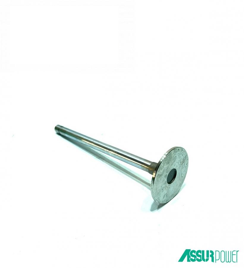 впускний клапан стандарт AS-R520223 (R520223) (AssurPower Parts, Китай)