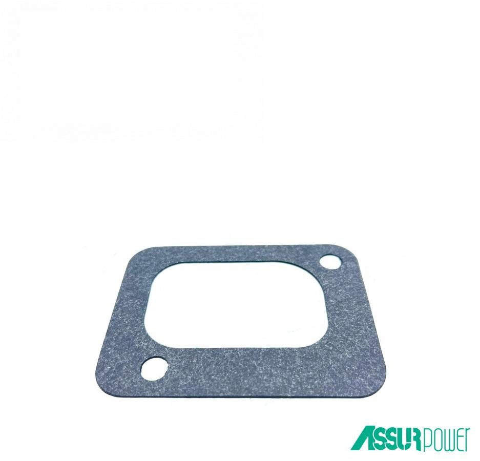 прокладка водяного насоса двигуна AS-R96616 (AssurPower Parts, Китай)