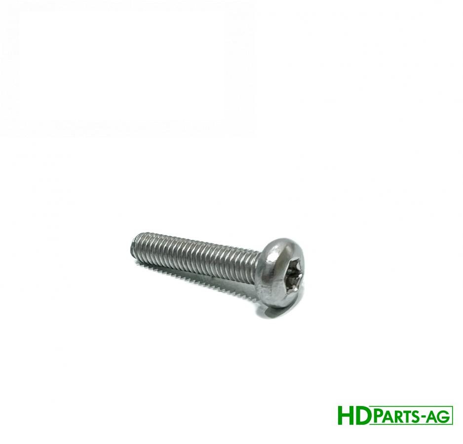 гвинт (болт) M4x20 H232150HD (H232150) (HDParts-AG, США)