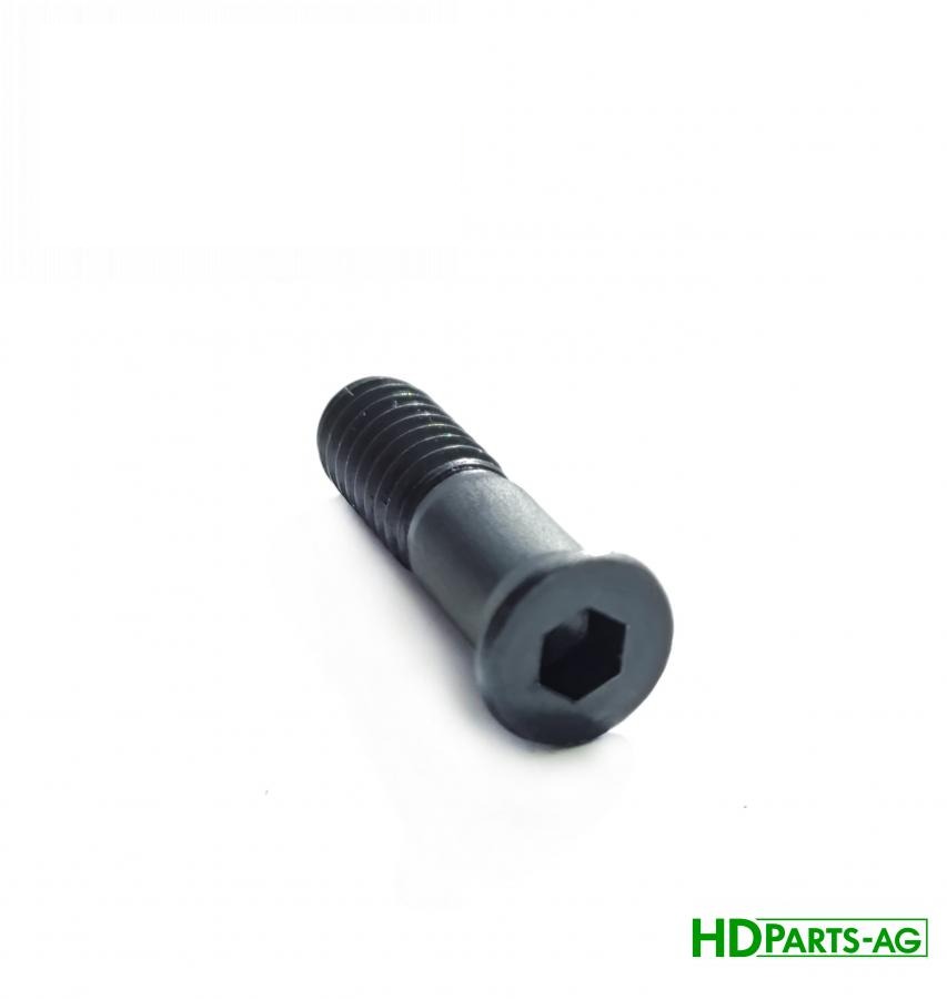 болт з плоскою головкою під шестигранник (для AH202442) (HDParts-AG, США)