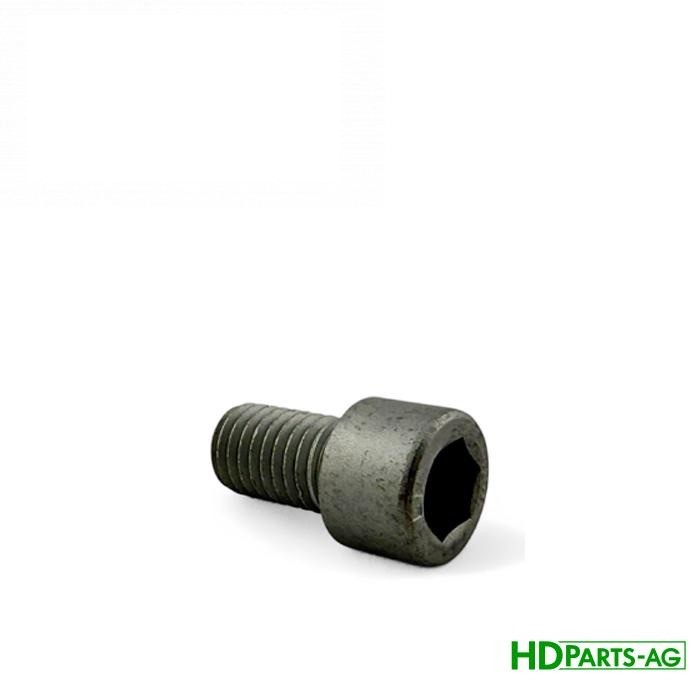 болт M12x20 10,9 19M8725X (19M8725) (HDParts-AG, США)